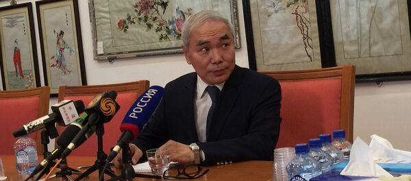 解晓岩：中国愿成为重建叙利亚的推动力，但为此须多国努力 - 俄罗斯卫星通讯社