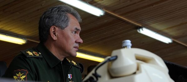 绍伊古与土耳其情报局局长讨论中东和北非问题 - 俄罗斯卫星通讯社