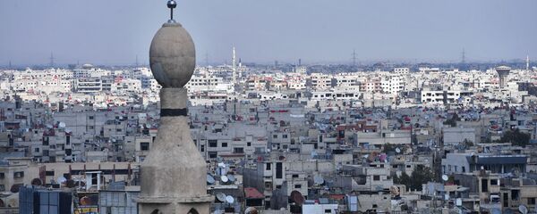 俄外交部：俄代表与阿萨德讨论叙宪法委员会的启动问题 - 俄罗斯卫星通讯社