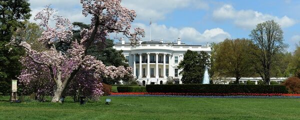 美法总统亲手共植的橡树苗几天后从白宫南草坪消失 - 俄罗斯卫星通讯社