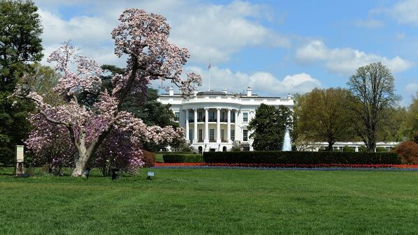 美法總統親手共植的橡樹苗幾天後從白宮南草坪消失 - 俄羅斯衛星通訊社