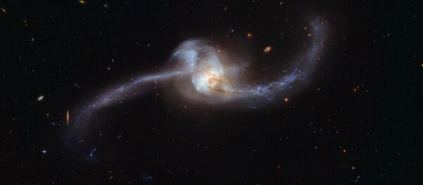 天体物理学家捕捉到外星高能信号 - 俄罗斯卫星通讯社