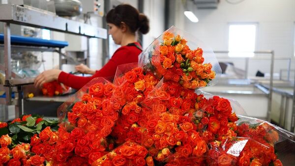 自2023年年初以来俄滨海边疆区从中国进口约7万支鲜花