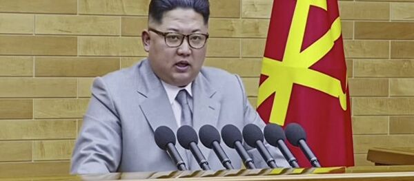 媒体：朝鲜将首次允许观察员接近其核武器 - 俄罗斯卫星通讯社