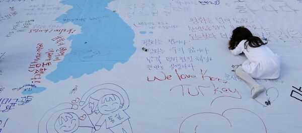 专家：首尔欲借朝鲜加强与中国关系 - 俄罗斯卫星通讯社