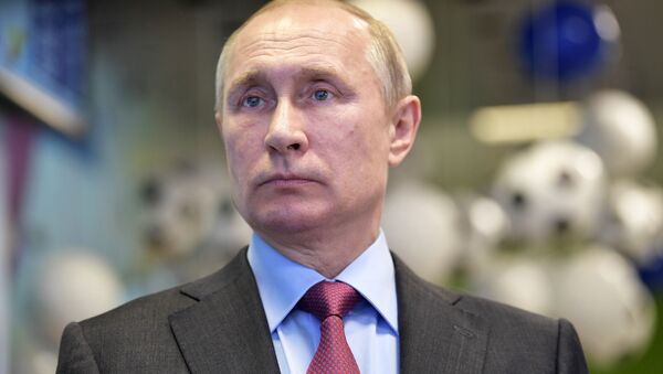 普京：俄罗斯已基本完成世界杯的准备工作 - 俄罗斯卫星通讯社