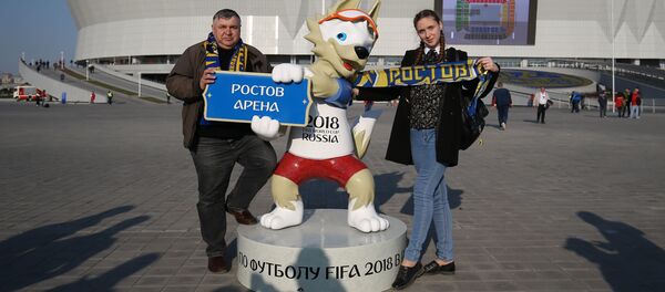 2018年俄罗斯世界杯售出89%门票  外国球迷购票数量超半 - 俄罗斯卫星通讯社