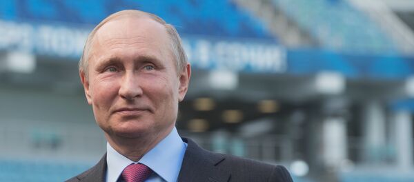 普京很高兴俄罗斯国家队世界杯赛场击败埃及队 - 俄罗斯卫星通讯社