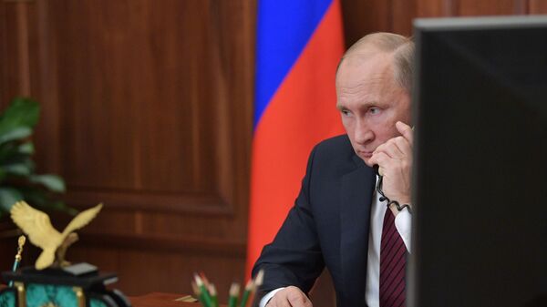 普京在与阿萨德的电话会谈中通报了俄方在伊尔-20飞机被击落后的回应措施 - 俄罗斯卫星通讯社