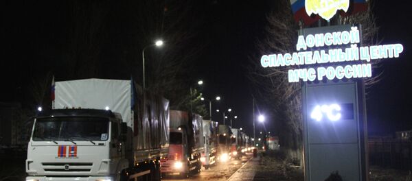 顿河救援中心 - 俄罗斯卫星通讯社