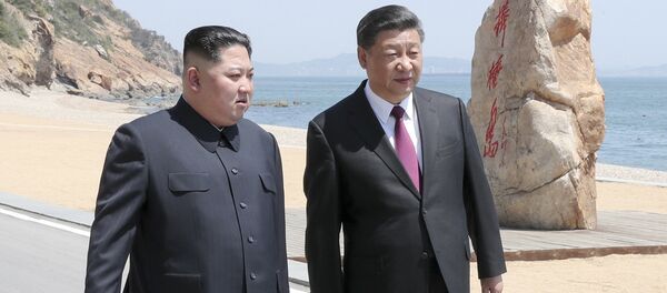 媒体:金正恩对习近平有何要求 媒体:金正恩对习近平有何要求 - 俄罗斯卫星通讯社