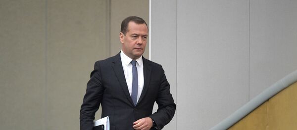 俄罗斯总理梅德韦杰夫 - 俄罗斯卫星通讯社