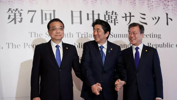 韓中領導人會晤深入探討半島無核化