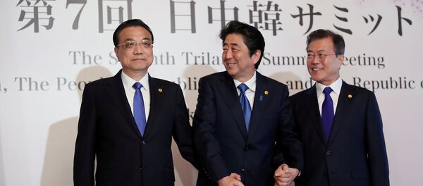 韩中领导人会晤深入探讨半岛无核化 - 俄罗斯卫星通讯社