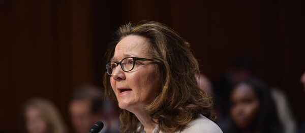 美国中情局局长候选人称俄中朝是美国的威胁 美国中情局局长候选人称俄中朝是美国的威胁 - 俄罗斯卫星通讯社