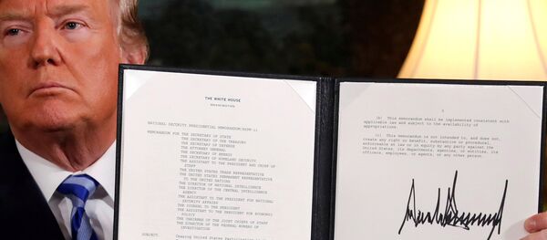 美国退出伊核协议 - 俄罗斯卫星通讯社