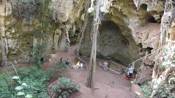 科學家在肯尼亞發現78000年前的古人類洞穴 - 俄羅斯衛星通訊社