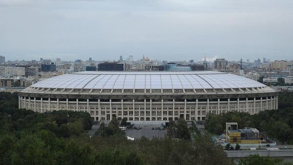 在莫斯科麻雀山上設立的世界杯球迷區將能容納2.5萬名觀眾 - 俄羅斯衛星通訊社