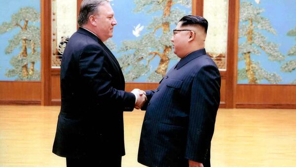 蓬佩奥与金正恩会晤并称朝鲜之行“很好” - 俄罗斯卫星通讯社