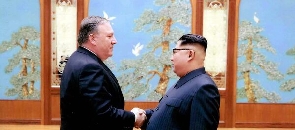 蓬佩奧與金正恩會晤並稱朝鮮之行“很好” - 俄羅斯衛星通訊社