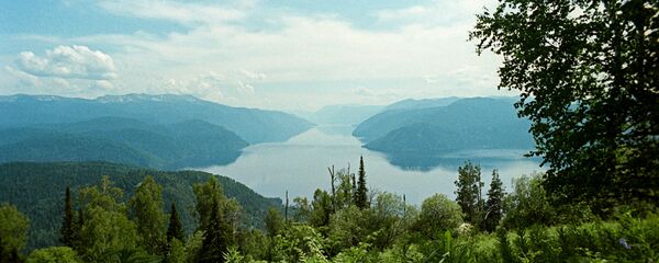 俄罗斯在野生自然保护方面无人能敌 - 俄罗斯卫星通讯社