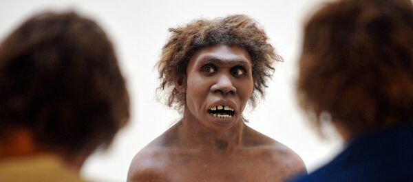 科学家未来几个月将“复活”尼安德特人大脑 - 俄罗斯卫星通讯社