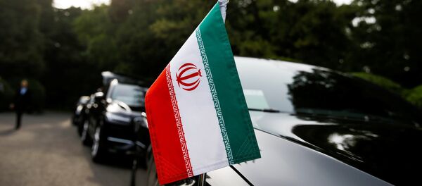 专家：“伊朗行动小组”的成立表明美国没有准备好对话 - 俄罗斯卫星通讯社