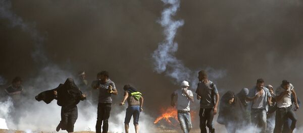 以色列因與巴勒斯坦人發生衝突而縮減加沙地帶捕漁區 - 俄羅斯衛星通訊社