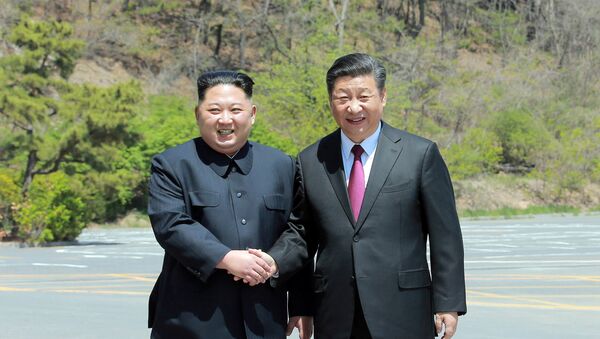 North Korean leader Kim Jong Un shakes hands with China's President Xi Jinping, in Dalian, China - 俄羅斯衛星通訊社