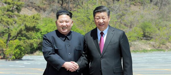 North Korean leader Kim Jong Un shakes hands with China's President Xi Jinping, in Dalian, China - 俄羅斯衛星通訊社