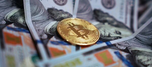 俄参议员：虚拟货币可能在国家间结算中取代美元 - 俄罗斯卫星通讯社