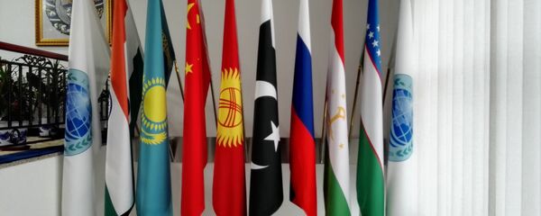 專家:印巴加入會加強上合組織 專家:印巴加入會加強上合組織 - 俄羅斯衛星通訊社