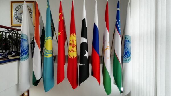 俄安全会议秘书：印巴加入上合组织增强该组织实力 - 俄罗斯卫星通讯社