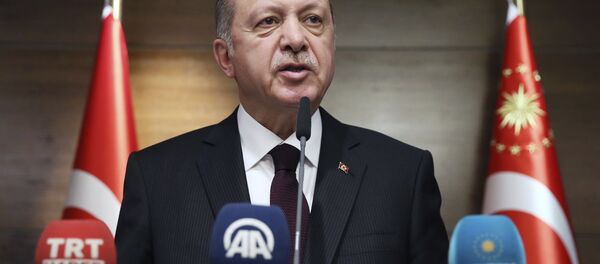 埃爾多安 - 俄羅斯衛星通訊社