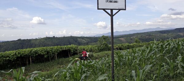 媒体：美国与印尼联合项目引入中国伙伴 - 俄罗斯卫星通讯社