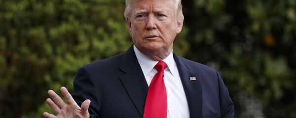 美国总统特朗普 - 俄罗斯卫星通讯社