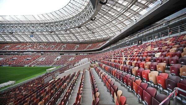俄罗斯世界杯将设“超重”专席 - 俄罗斯卫星通讯社