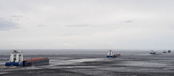 滨海边疆区可能推出冰上旅游路线 滨海边疆区可能推出冰上旅游路线 - 俄罗斯卫星通讯社