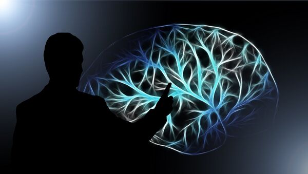 科学家介绍如何提高记忆力和改善大脑功能 - 俄罗斯卫星通讯社