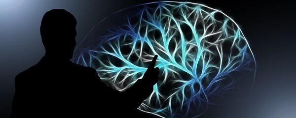 大脑 大脑 - 俄罗斯卫星通讯社