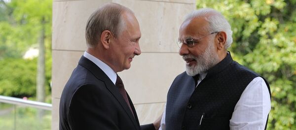 普京:俄印两国关系注入新活力 普京:俄印两国关系注入新活力 - 俄罗斯卫星通讯社