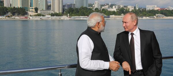 印度：俄印合作对维护全球稳定至关重要 - 俄罗斯卫星通讯社