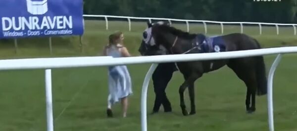 英国女记者在直播中赤手拦马 - 俄罗斯卫星通讯社