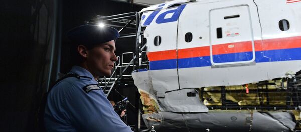 俄方关于MH17空难的证据被置之不理 - 俄罗斯卫星通讯社