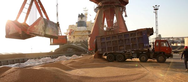 中美贸易战将改变农产品市场 - 俄罗斯卫星通讯社