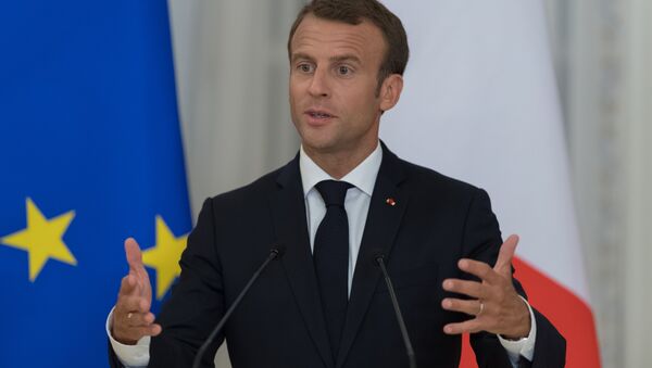 法国总统：七国集团领导人9日将讨论朝伊叙局势 - 俄罗斯卫星通讯社