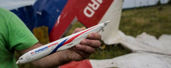 马航MH17空难 - 俄罗斯卫星通讯社