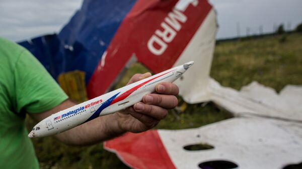 马航MH17空难 - 俄罗斯卫星通讯社