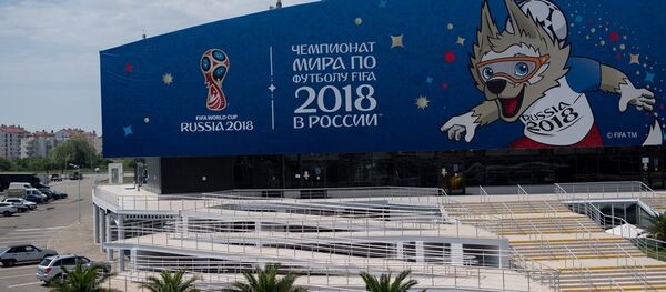 俄白外长将于下周签署世界杯期间签证互认协议 - 俄罗斯卫星通讯社