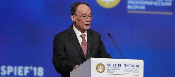 中国国家副主席王岐山在圣彼得堡国际经济论坛全体会议上 - 俄罗斯卫星通讯社